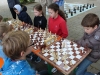 sff-2012_02
