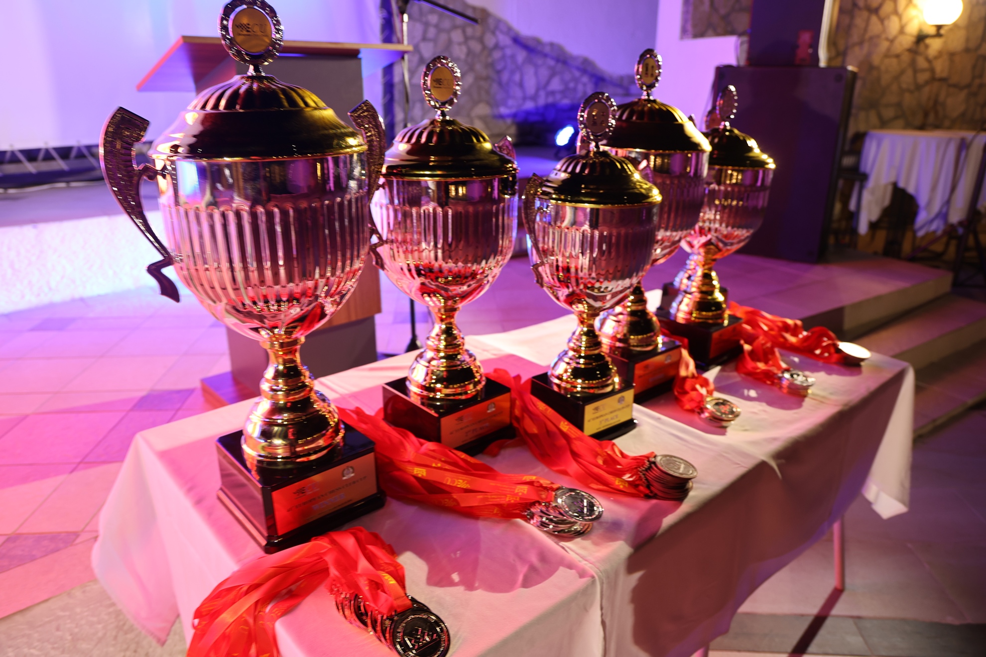 A closer view of the European Club Cup trophies.